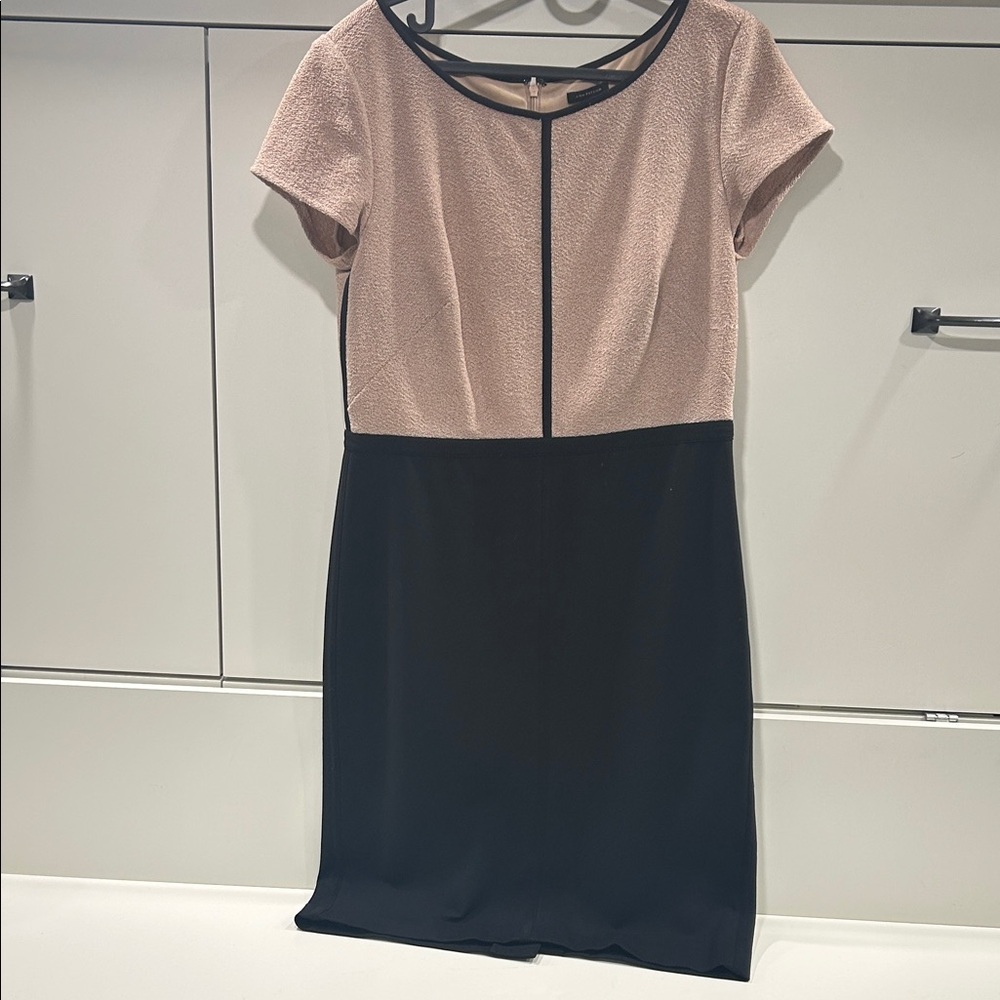 Black and Camel Women's Work Sheath Dress